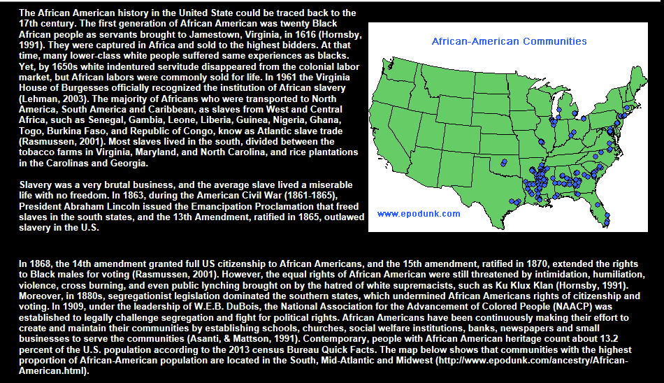 African American in US