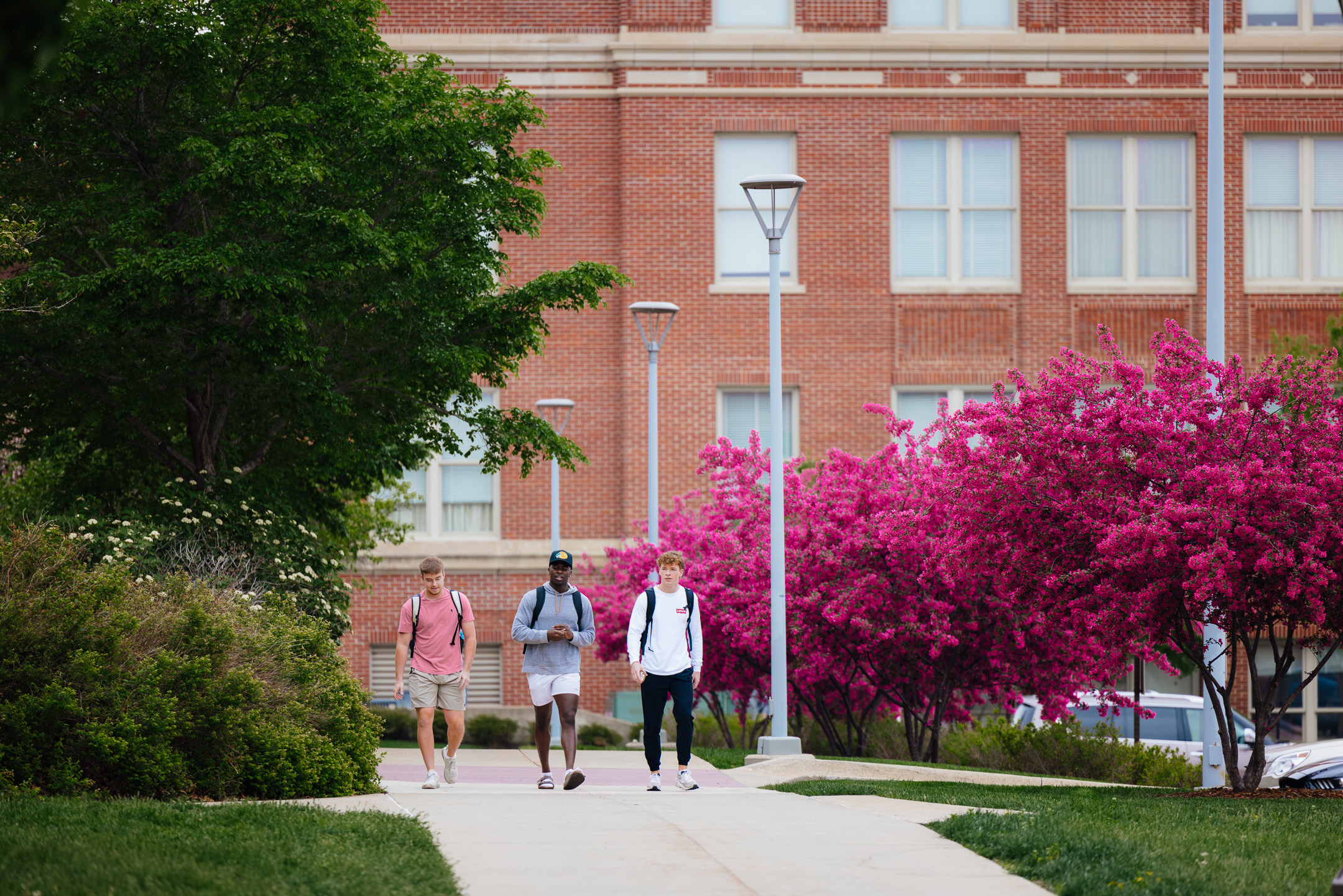 Students walking on UNI Campus